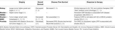 The Role of C-Reactive Protein in Kidney, Bladder, and Prostate Cancers